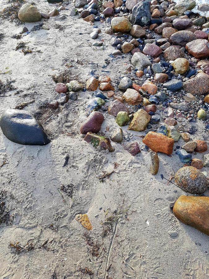 Strandappartement Steinberghaff "Farborg" Mit Meerblick Steinberg  Esterno foto